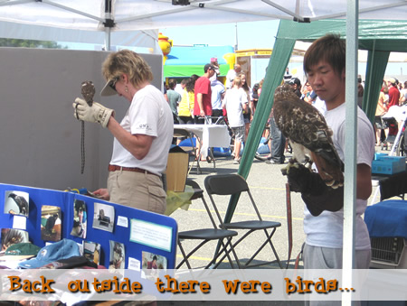 Rehabilitation Society for Birds of Prey