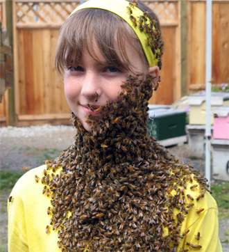 bee-beard