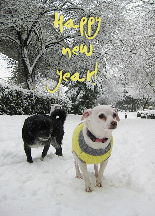 happy-new-year-dogs